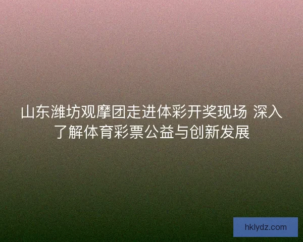 山东潍坊观摩团走进体彩开奖现场 深入了解体育彩票公益与创新发展